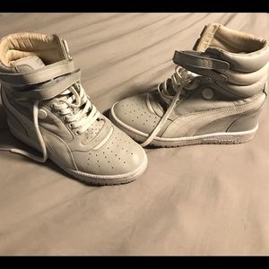 Grey Pumas